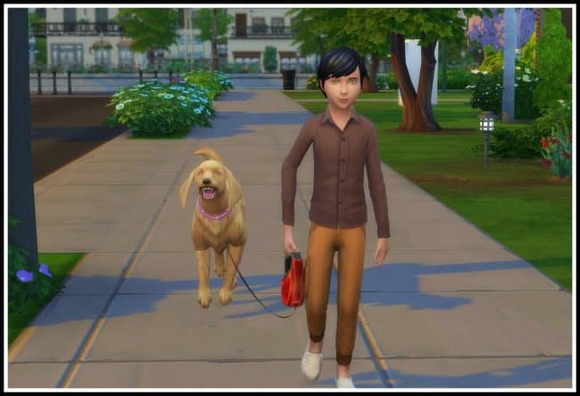 Kids Can Walk The Dog Sims 4 Mod