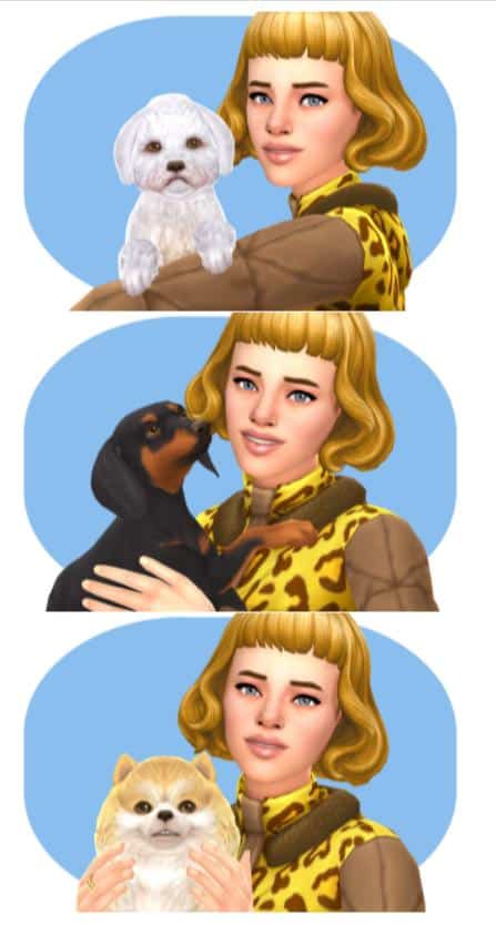 Sims 4 Gallery Poses with Dog