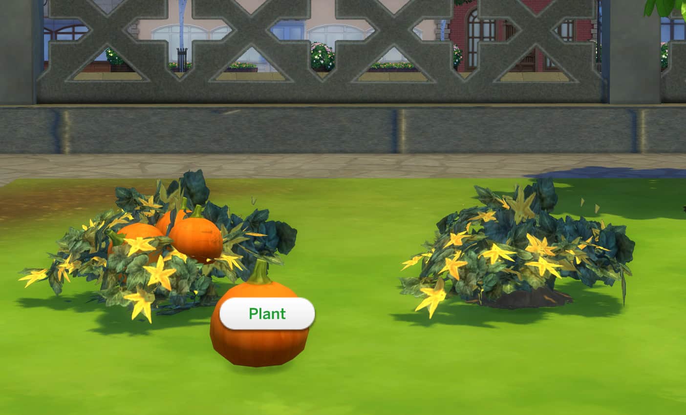 Pumpkin Project