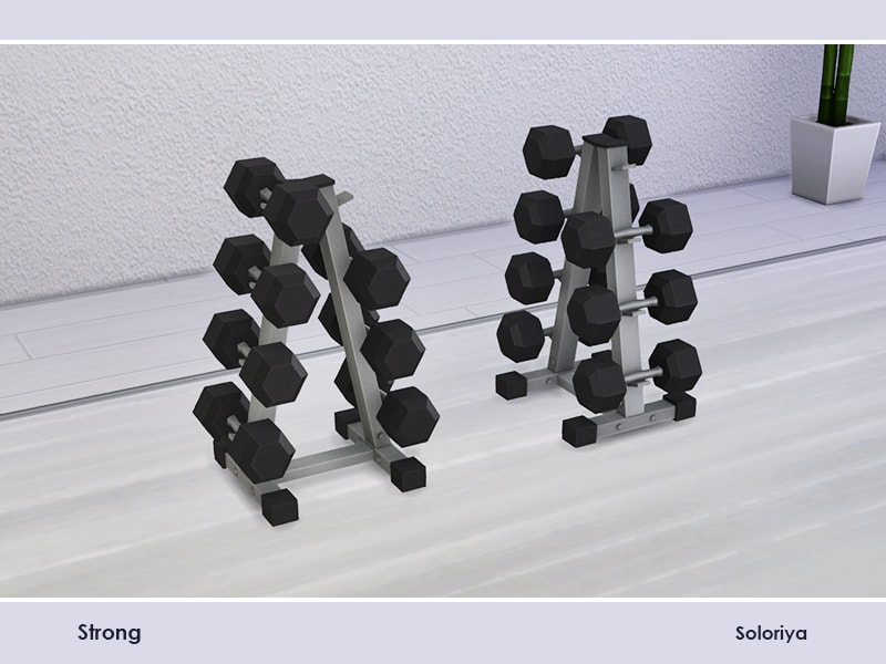 Strong Hex Dumbbell Ruck V1