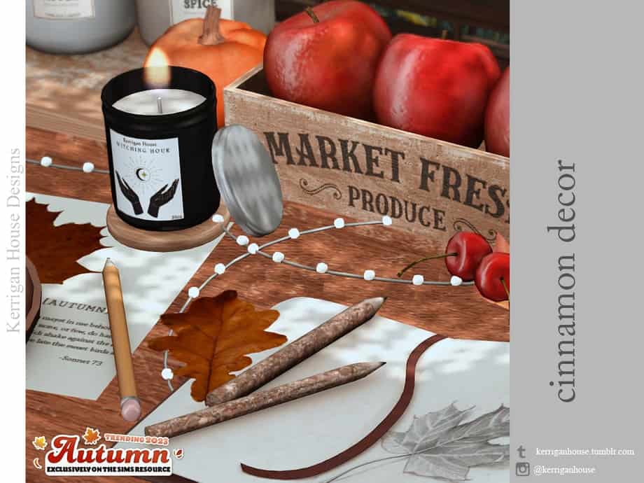 Cinnamon Decor