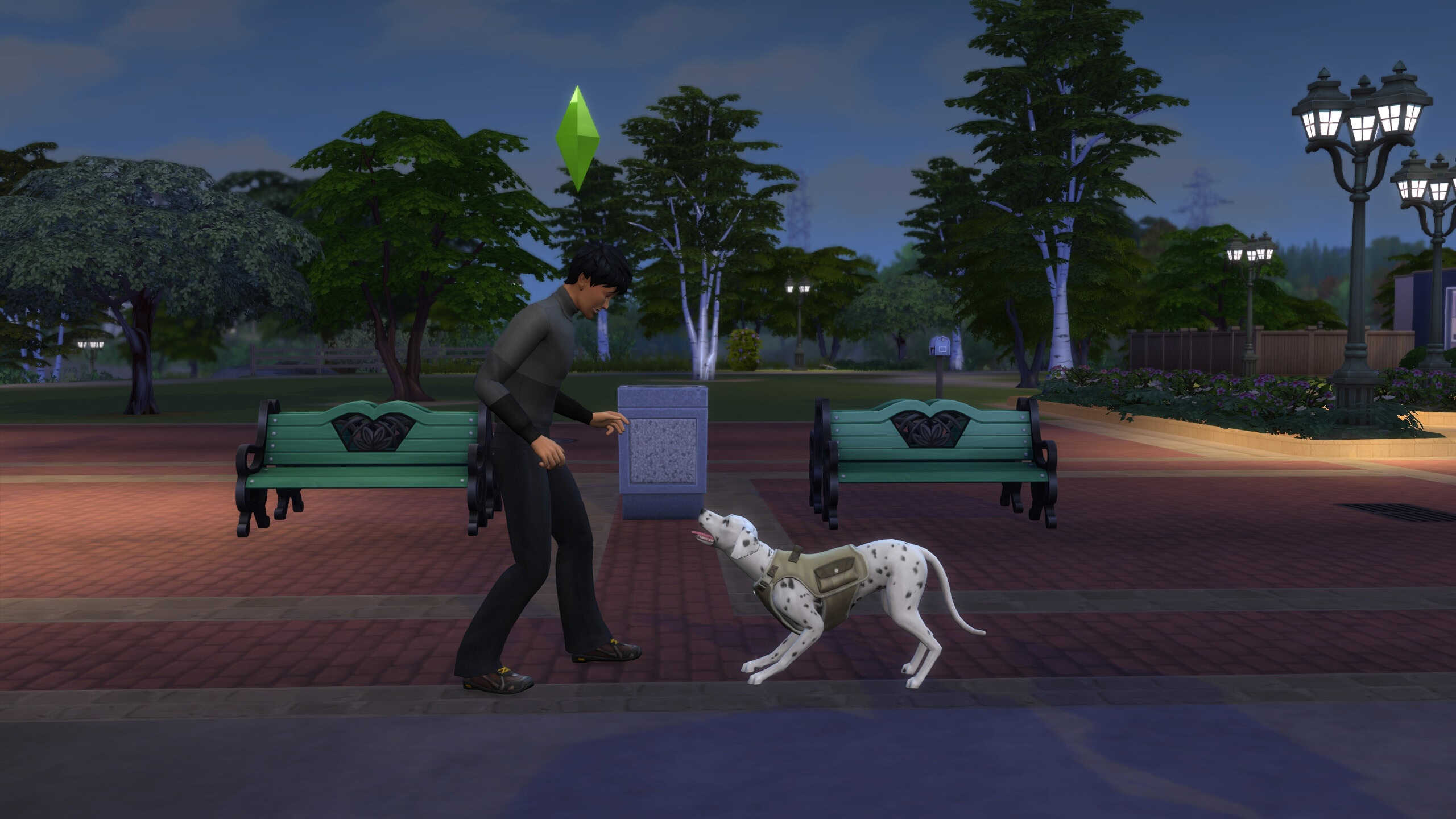 Dog Walker