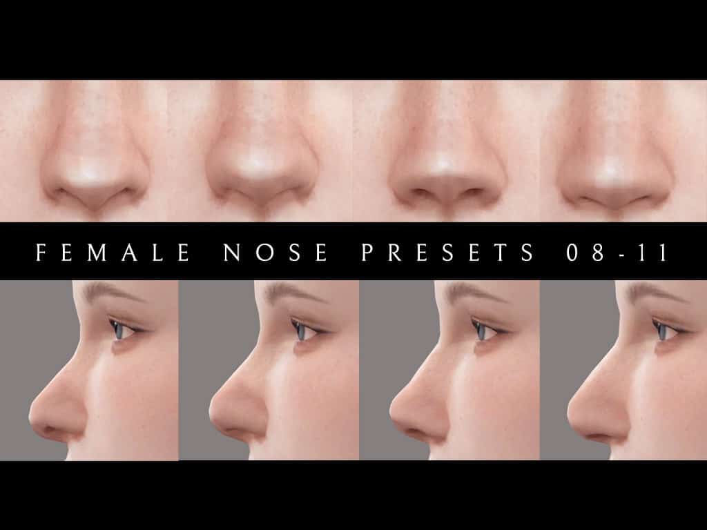 Female Nose Presets N08 To N11