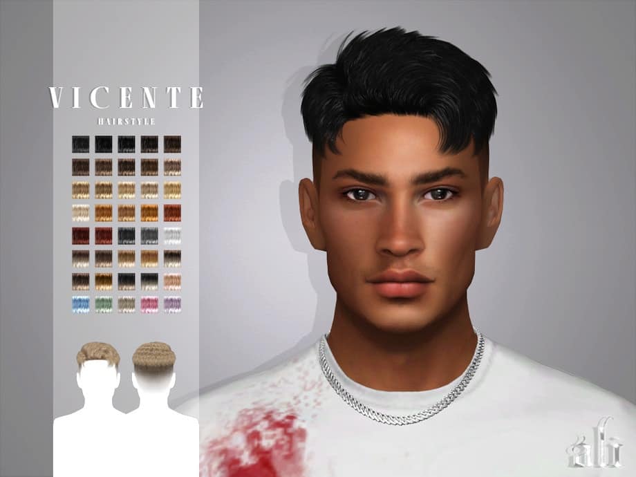 Vincente Hairstyle