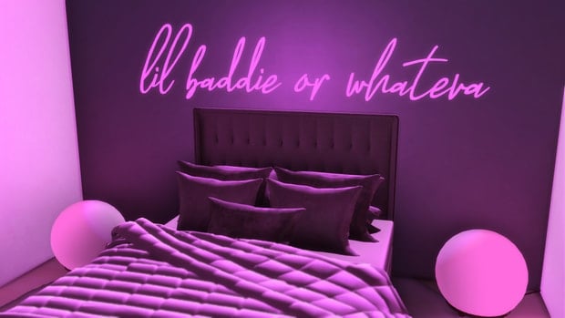 Lil Baddie + Purr Neon Signs