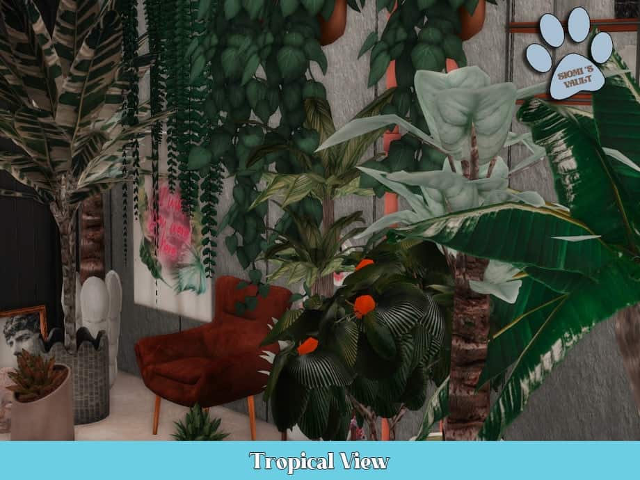 Tropical View
