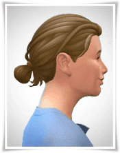 Sidebangs with Loop-Bun and Ponytail