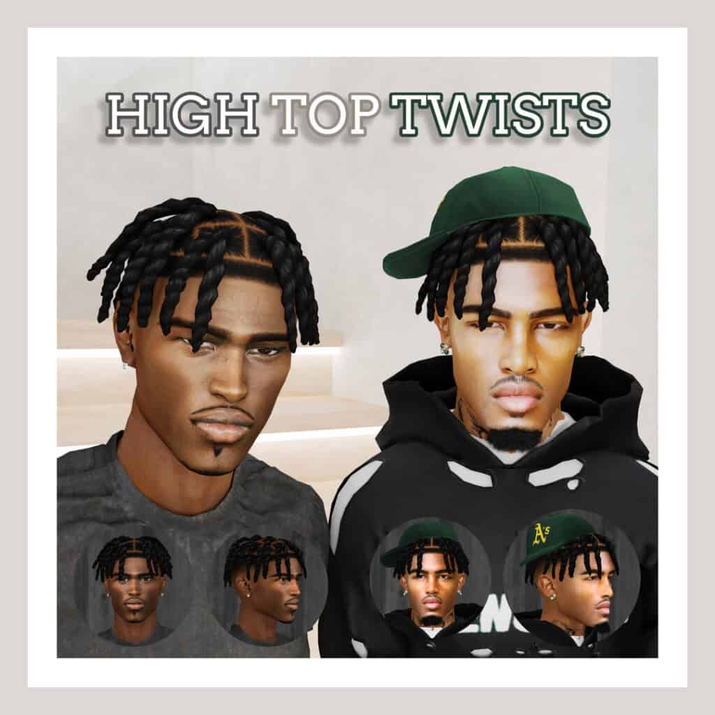 High Top Twists and Beard N2
