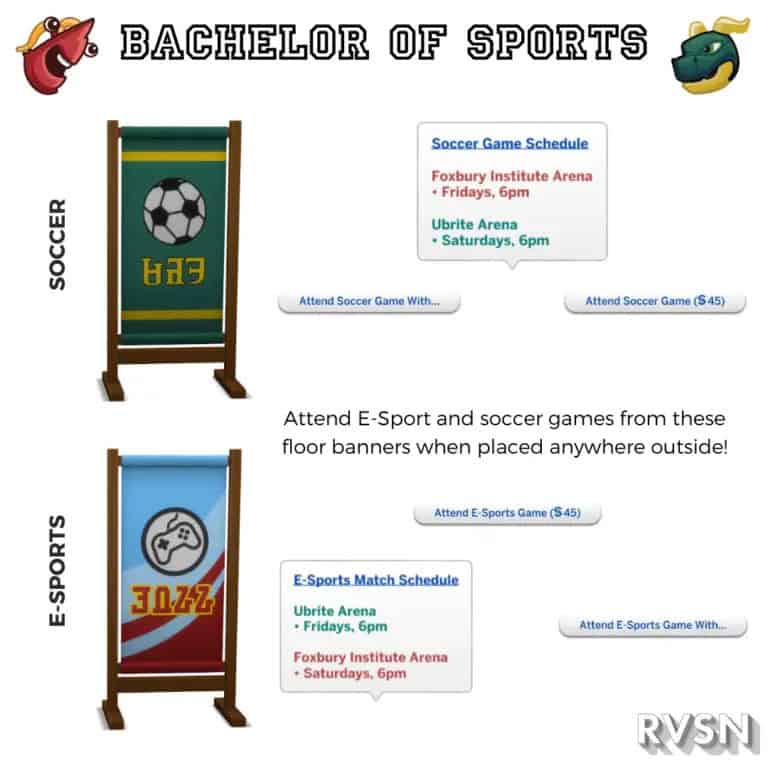 Bachelor Of Sports