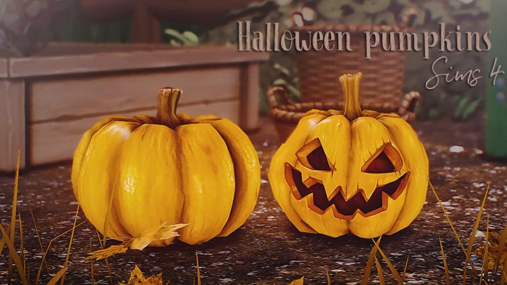Halloween Pumpkins