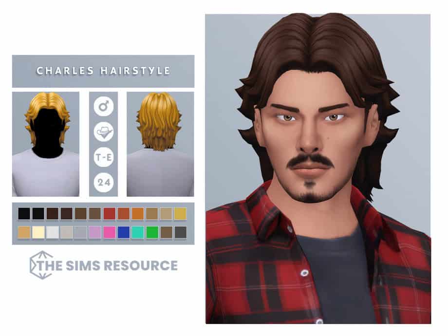 Charles Hairstyle